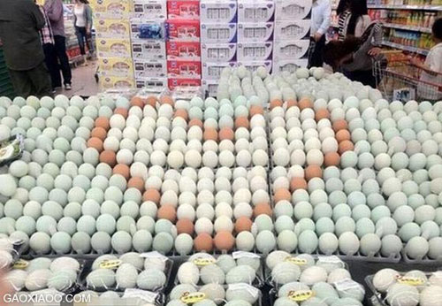 funny-photo-china-06